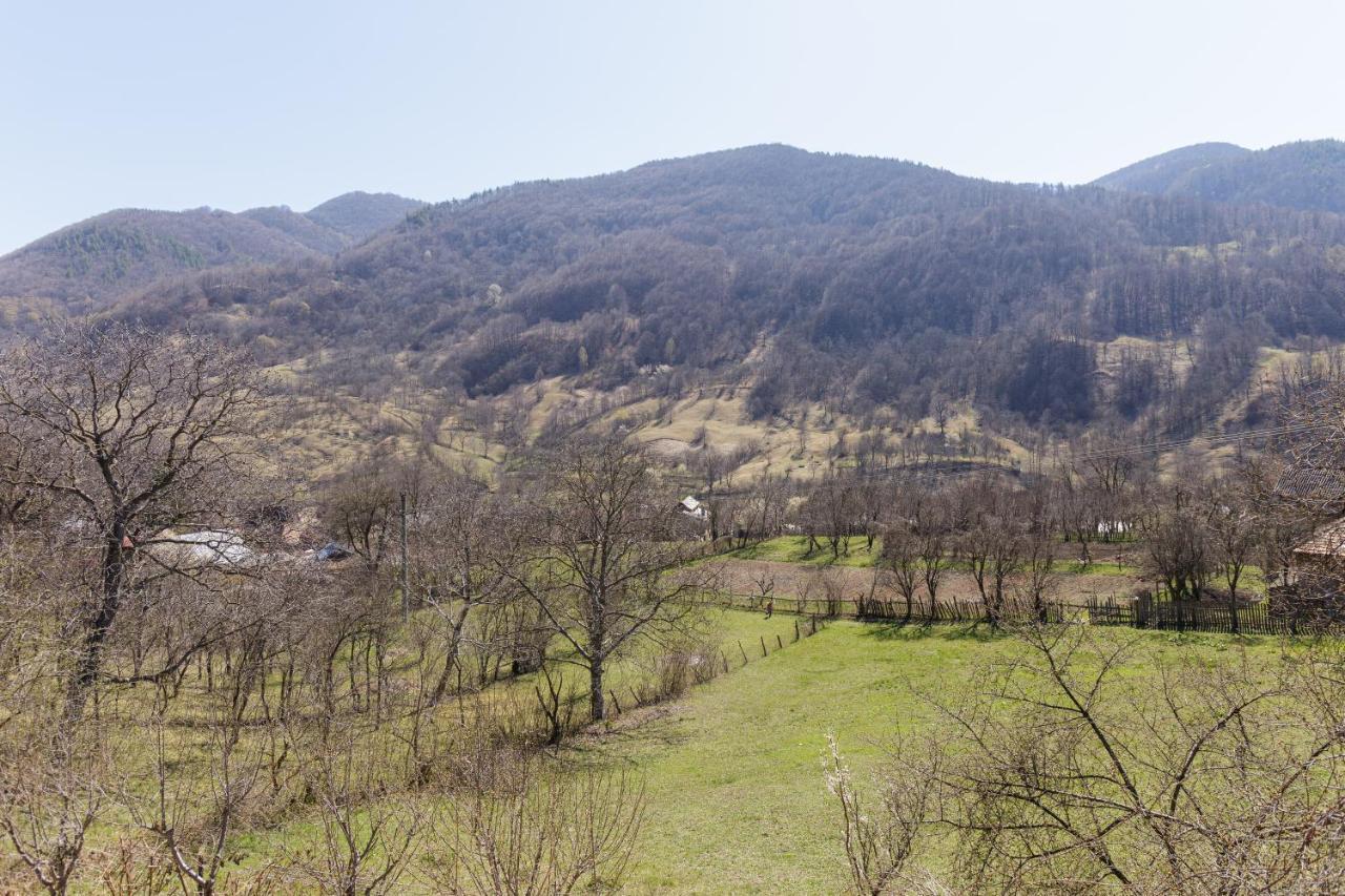 Nook Of Nature Basca Rozilei Exteriér fotografie
